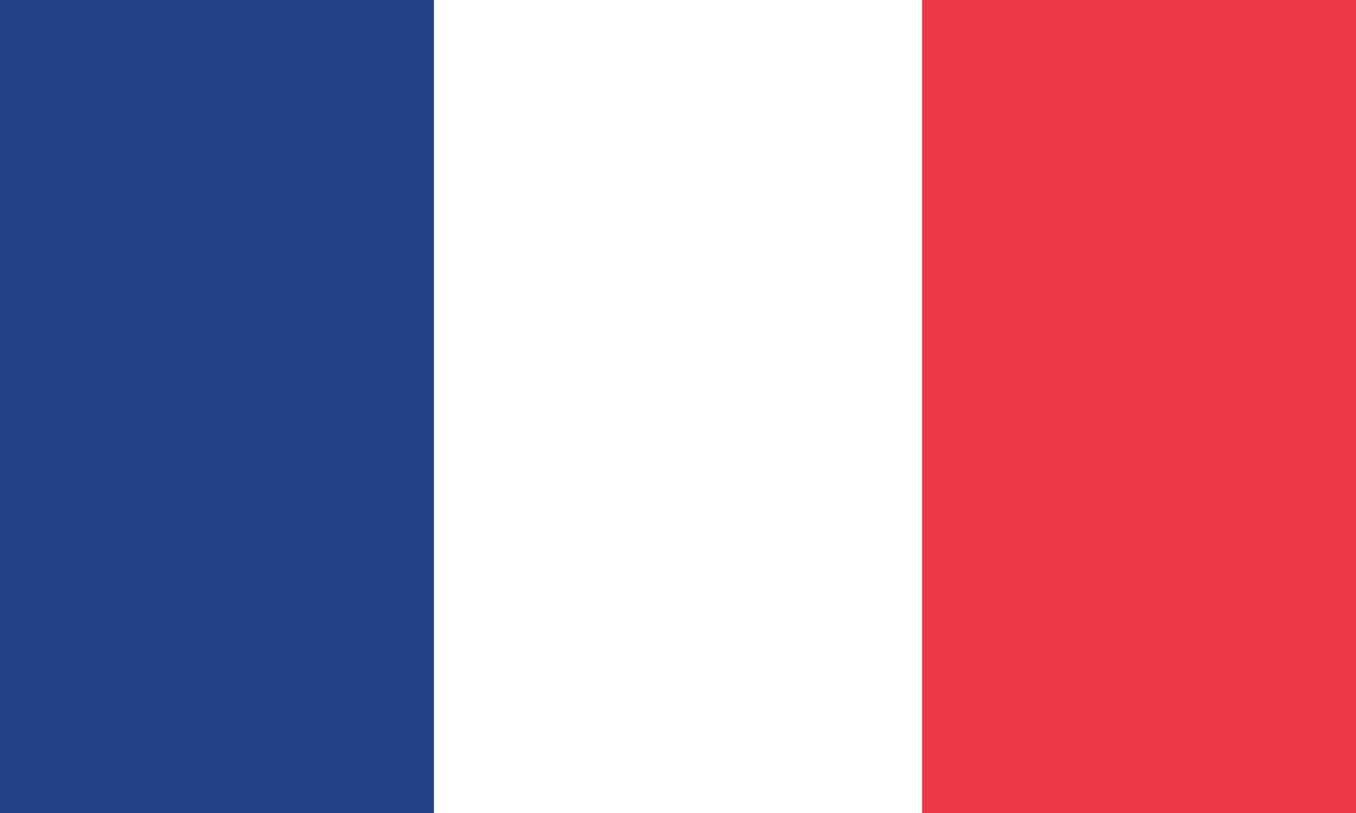 Vector_illustration_of_the_France_flag_generated